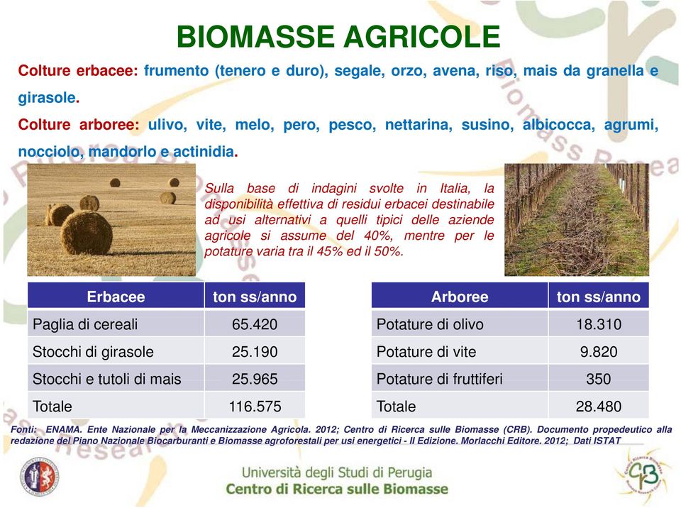 Sulla base di indagini svolte in Italia, la disponibilità effettiva di residui erbacei destinabile ad usi alternativi a quelli tipici delle aziende agricole si assume del 40%, mentre per le potature