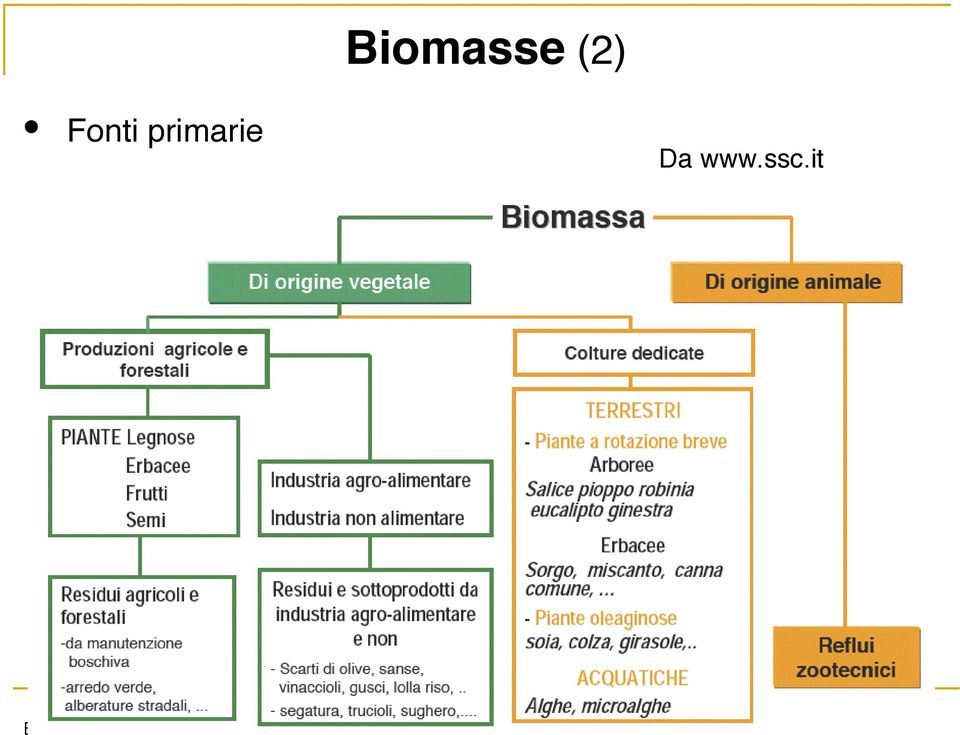 primarie