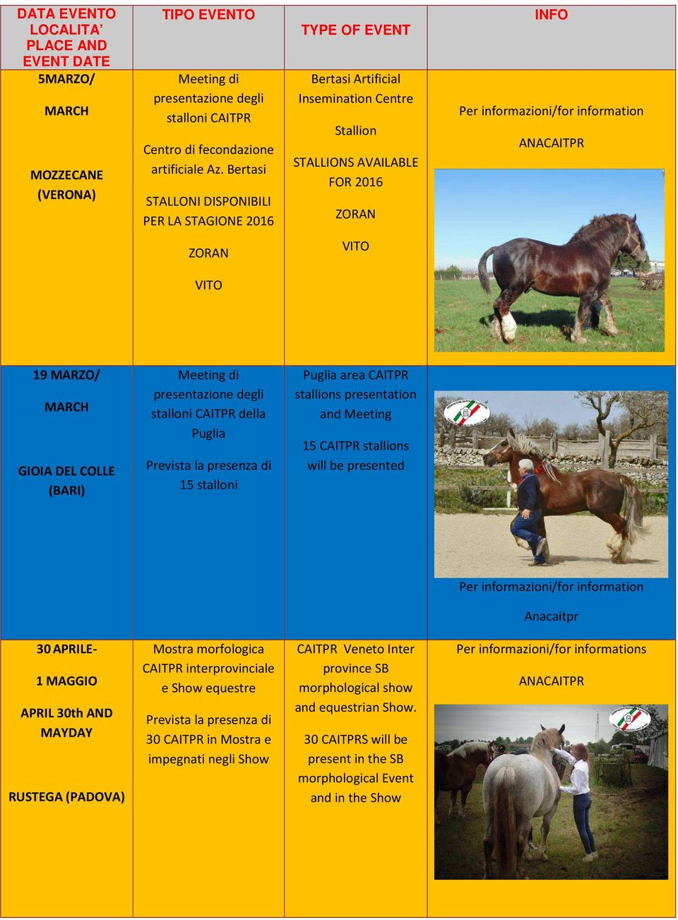 ZORAN VITO VITO 19 MARZO/ MARCH GIOIA DEL COLLE (BARI) Meeting di presentazione degli stalloni CAITPR della Puglia Prevista la presenza di 15 stalloni Puglia area CAITPR stallions presentation and