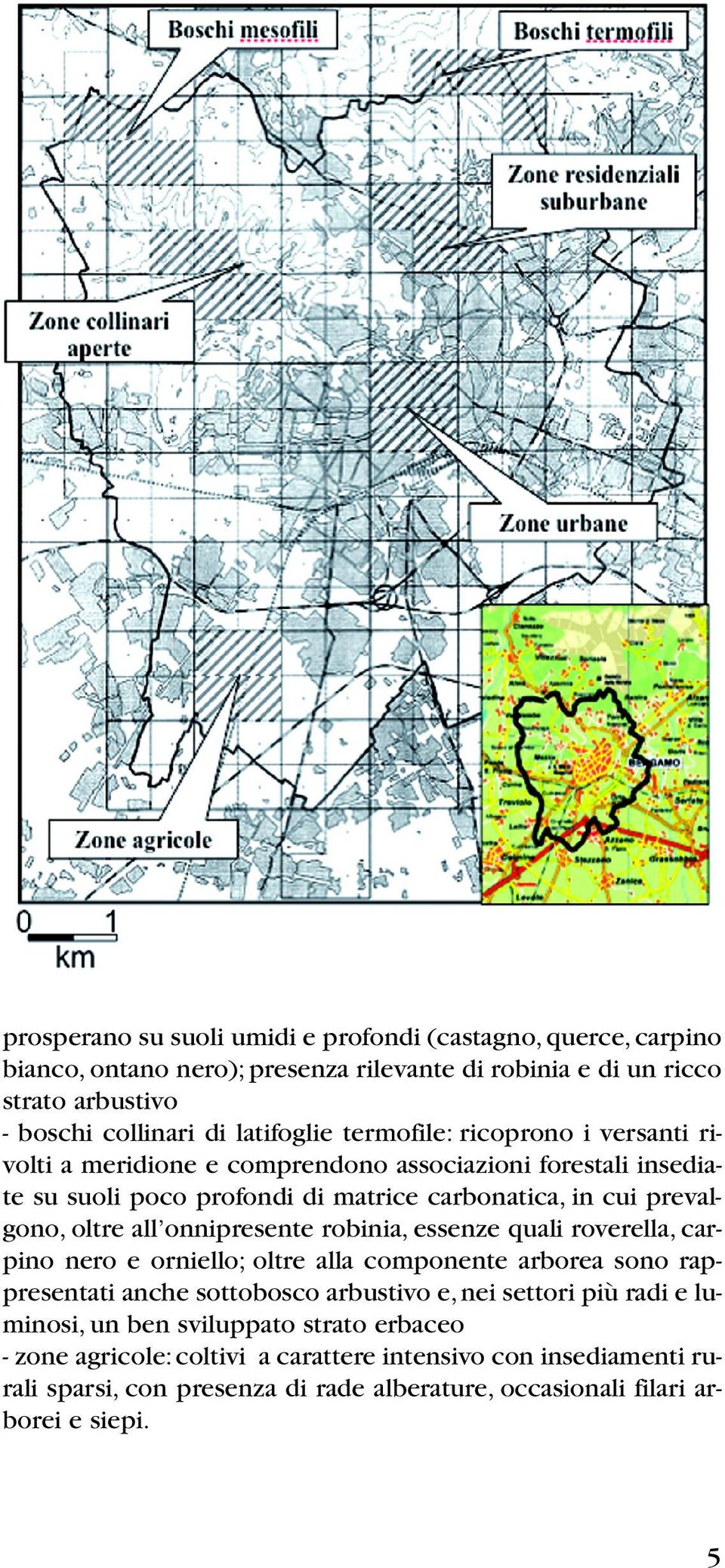 onnipresente robinia, essenze quali roverella, carpino nero e orniello; oltre alla componente arborea sono rappresentati anche sottobosco arbustivo e, nei settori più radi e