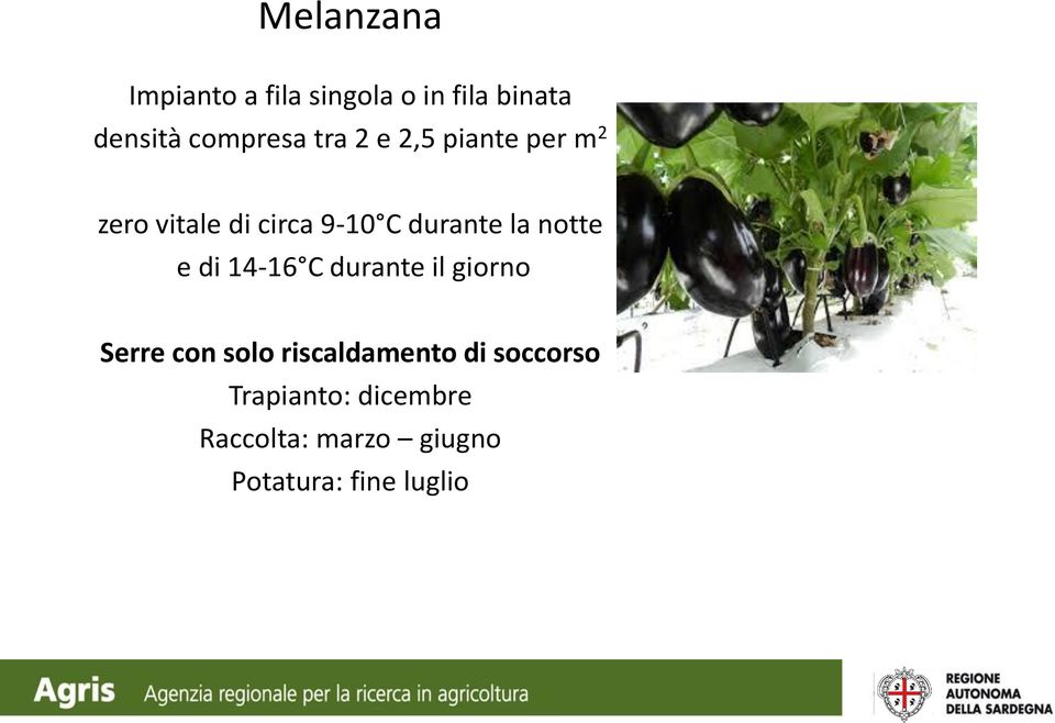 notte e di 14-16 C durante il giorno Serre con solo riscaldamento di