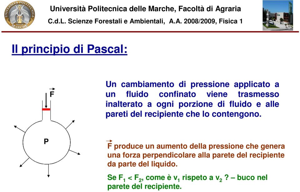 P F poduce un aumento della pessione che genea una foza pependicolae alla paete del