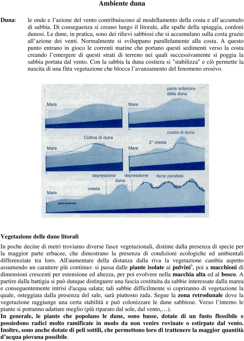 Normalmente si sviluppano parallelamente alla costa.