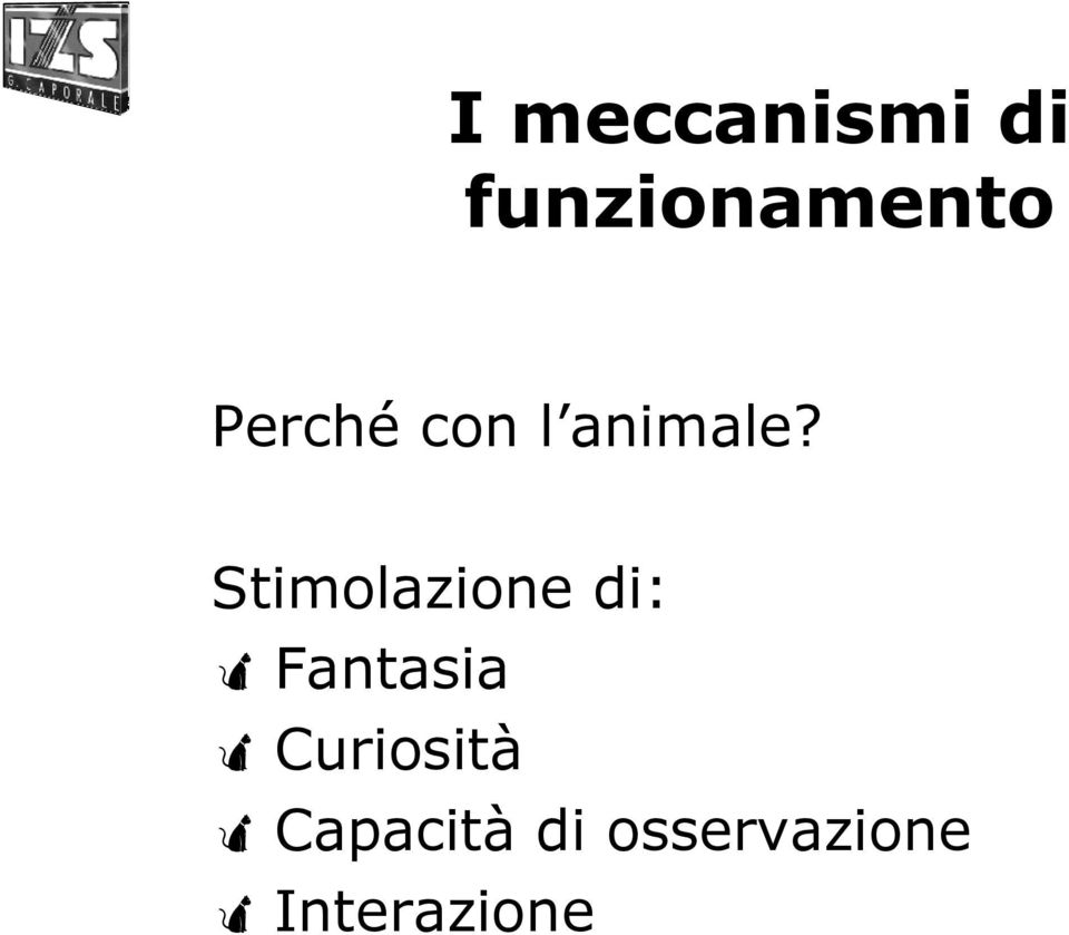 Stimolazione di: Fantasia