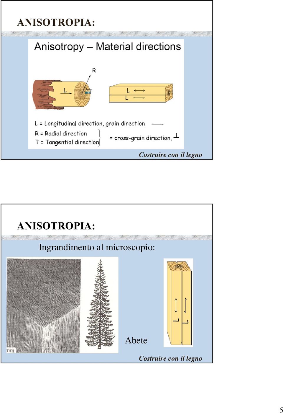 al microscopio: