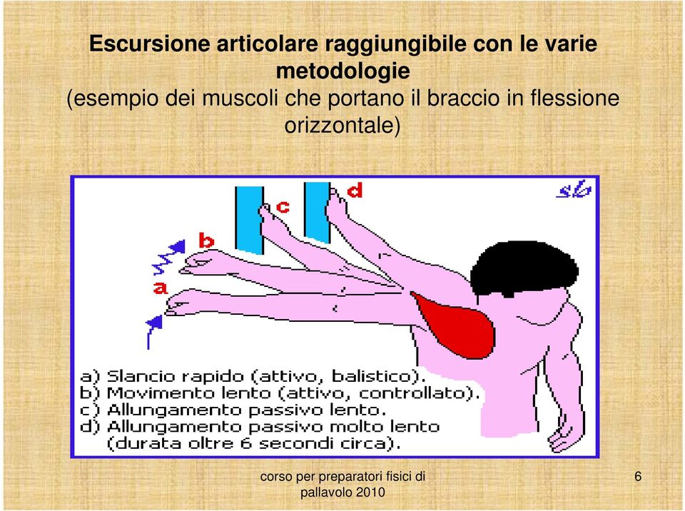 metodologie (esempio dei muscoli