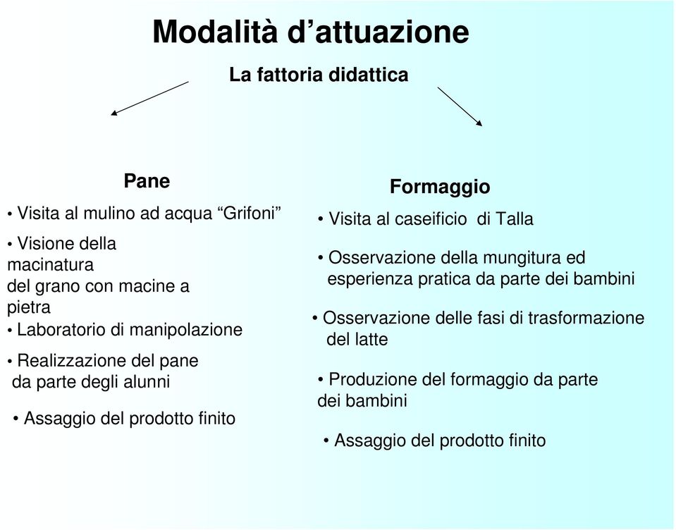 finito Formaggio Visita al caseificio di Talla Osservazione della mungitura ed esperienza pratica da parte dei bambini