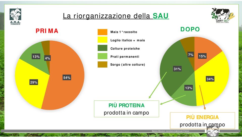 permanenti 15% 7% Sorgo (altre colture) 31% 29% 54% 13%