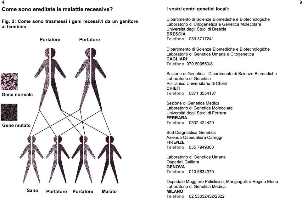 Biomediche e Biotecnologiche Laboratorio di Citogenetica e Genetica Molecolare Università degli Studi di Brescia BRESCIA Telefono 030 3717241 Dipartimento di Scienze Biomediche e Biotecnologiche