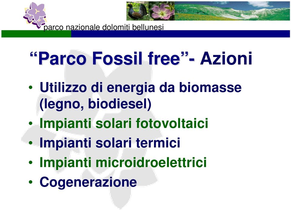 (legno, biodiesel) Impianti solari fotovoltaici