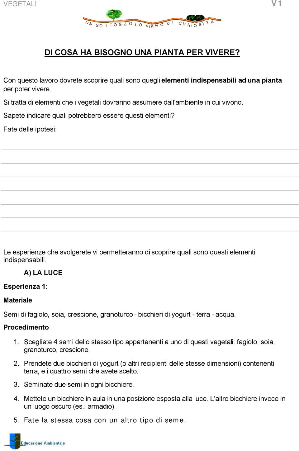 Fate delle ipotesi: Le esperienze che svolgerete vi permetteranno di scoprire quali sono questi elementi indispensabili.