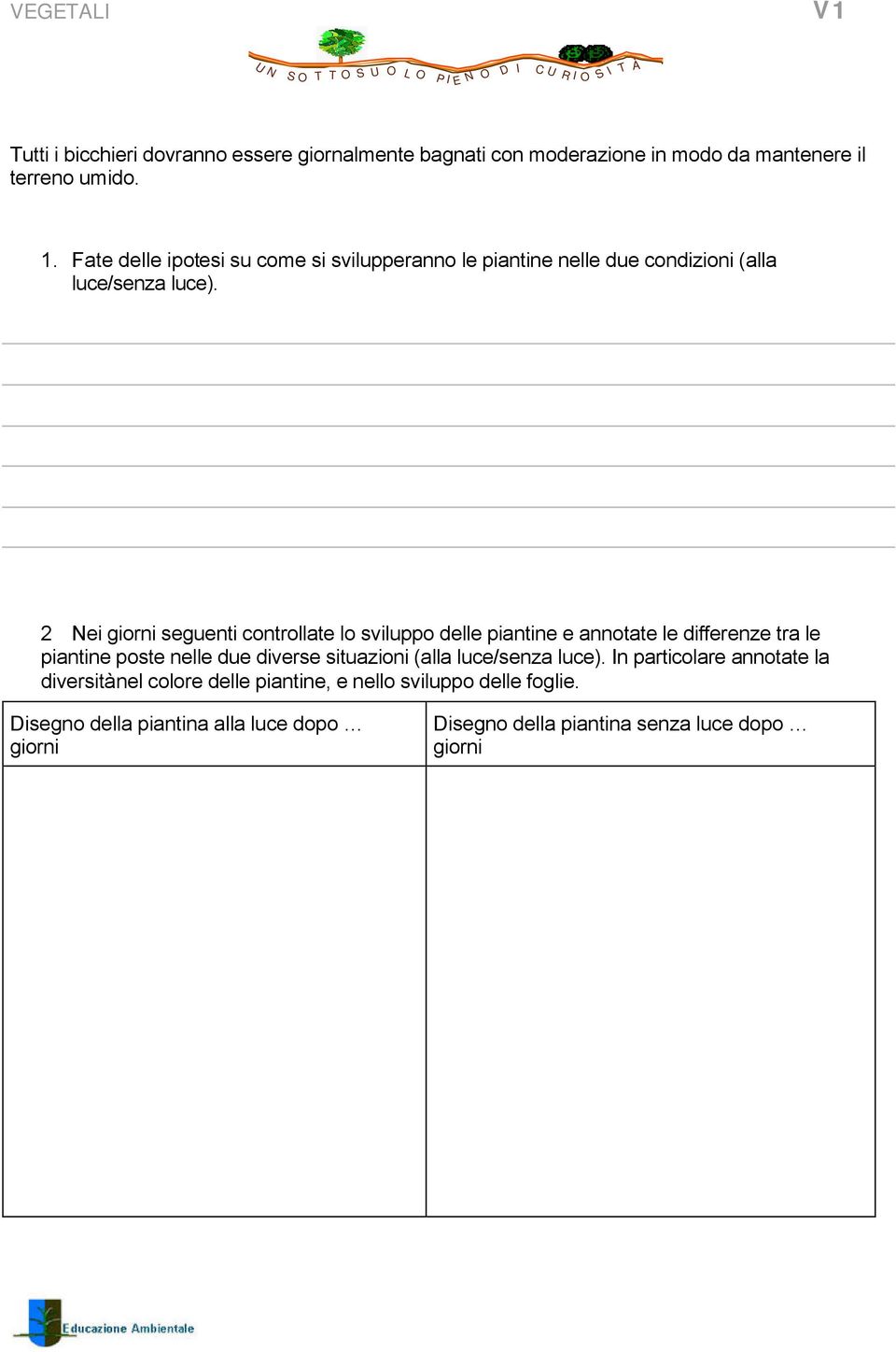 2 Nei giorni seguenti controllate lo sviluppo delle piantine e annotate le differenze tra le piantine poste nelle due diverse situazioni (alla