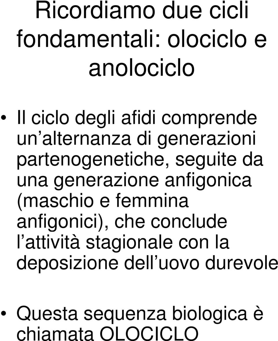 generazione anfigonica (maschio e femmina anfigonici), che conclude l attività