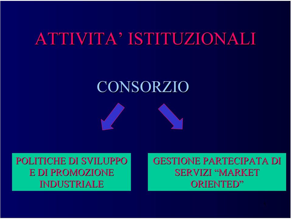 PROMOZIONE INDUSTRIALE GESTIONE