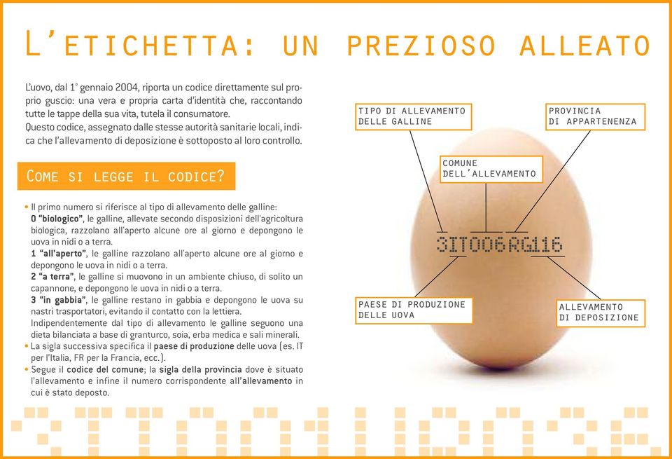 tipo di allevamento delle galline comune dell allevamento provincia di appartenenza Il primo numero si riferisce al tipo di allevamento delle galline: 0 biologico, le galline, allevate secondo