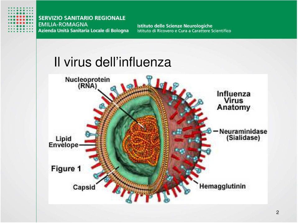 influenza