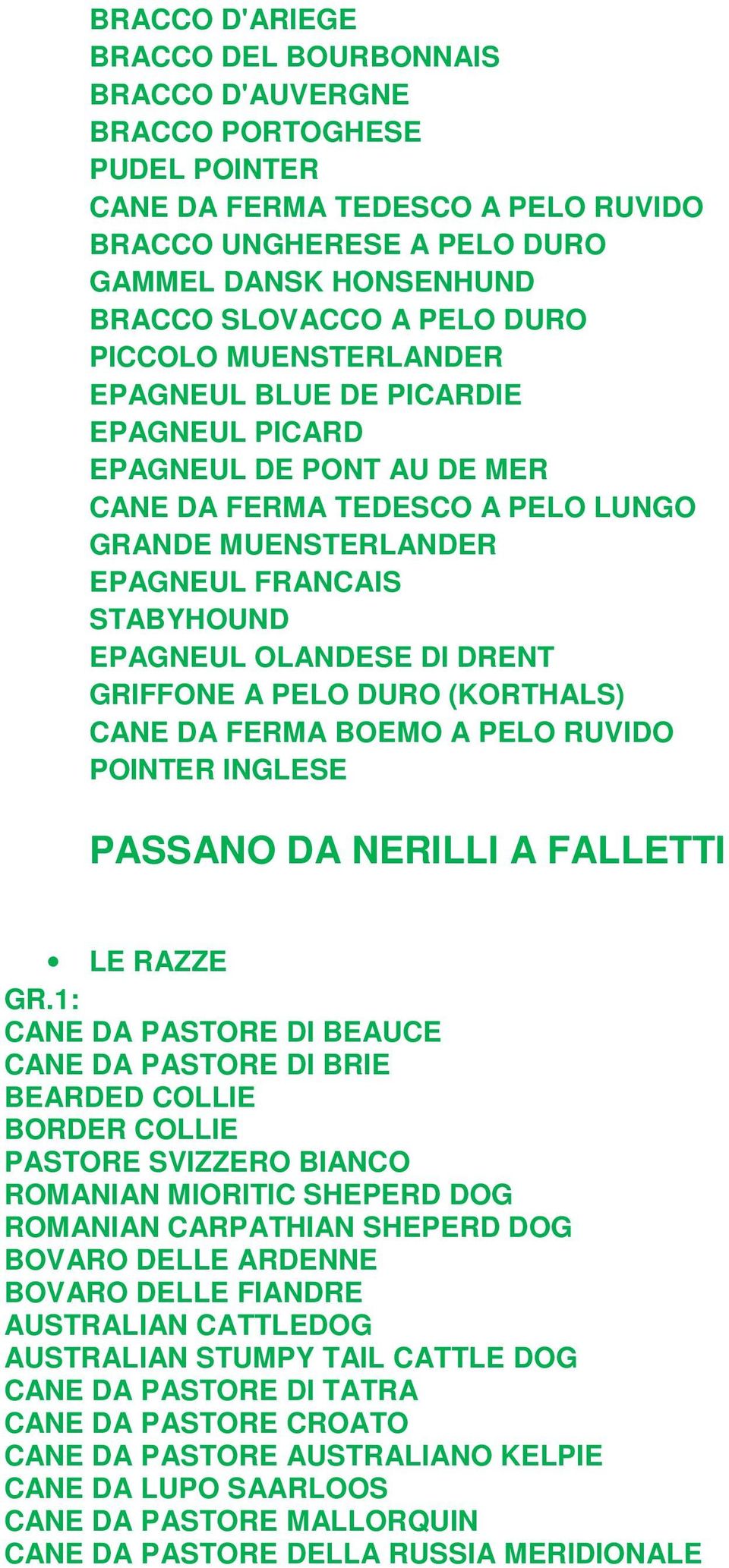 OLANDESE DI DRENT GRIFFONE A PELO DURO (KORTHALS) CANE DA FERMA BOEMO A PELO RUVIDO POINTER INGLESE PASSANO DA NERILLI A FALLETTI CANE DA PASTORE DI BEAUCE CANE DA PASTORE DI BRIE BEARDED COLLIE