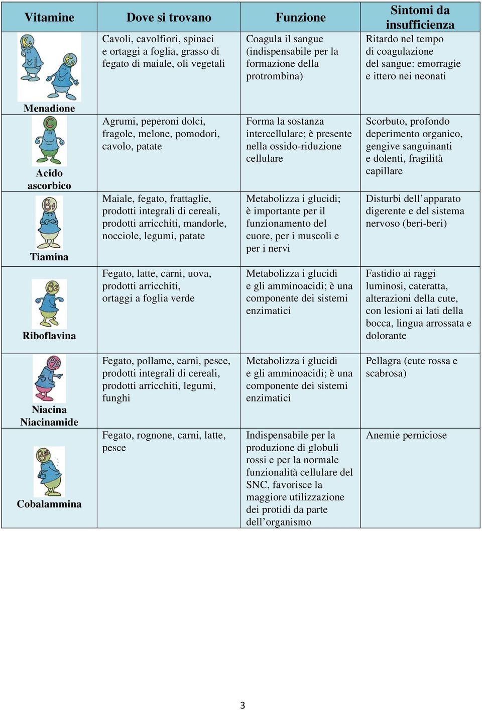 cavolo, patate Maiale, fegato, frattaglie, prodotti integrali di cereali, prodotti arricchiti, mandorle, nocciole, legumi, patate Fegato, latte, carni, uova, prodotti arricchiti, ortaggi a foglia