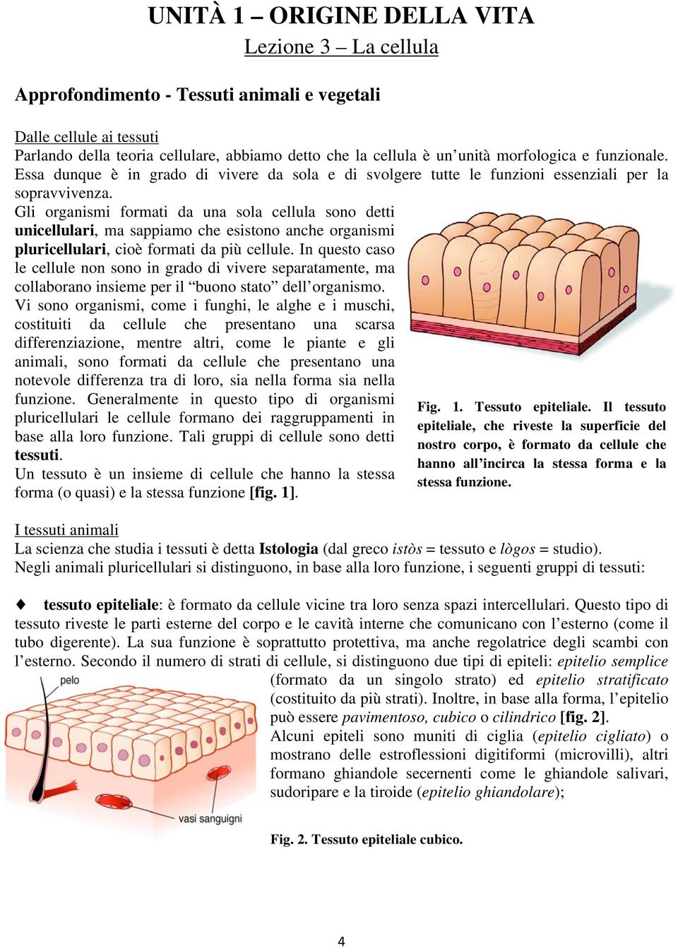 Gli organismi formati da una sola cellula sono detti unicellulari, ma sappiamo che esistono anche organismi pluricellulari, cioè formati da più cellule.