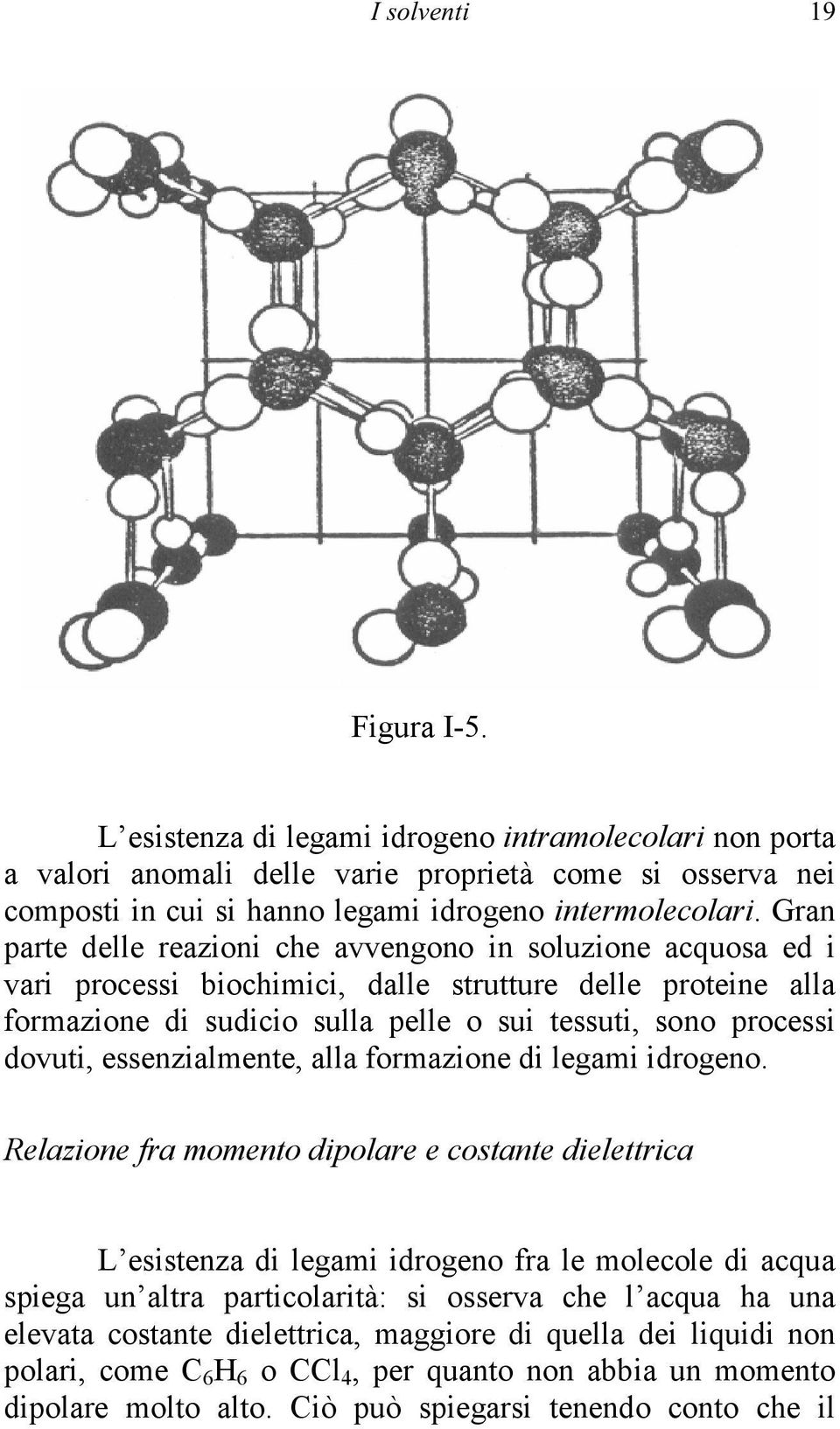 essenzialmente, alla formazione di legami idrogeno.