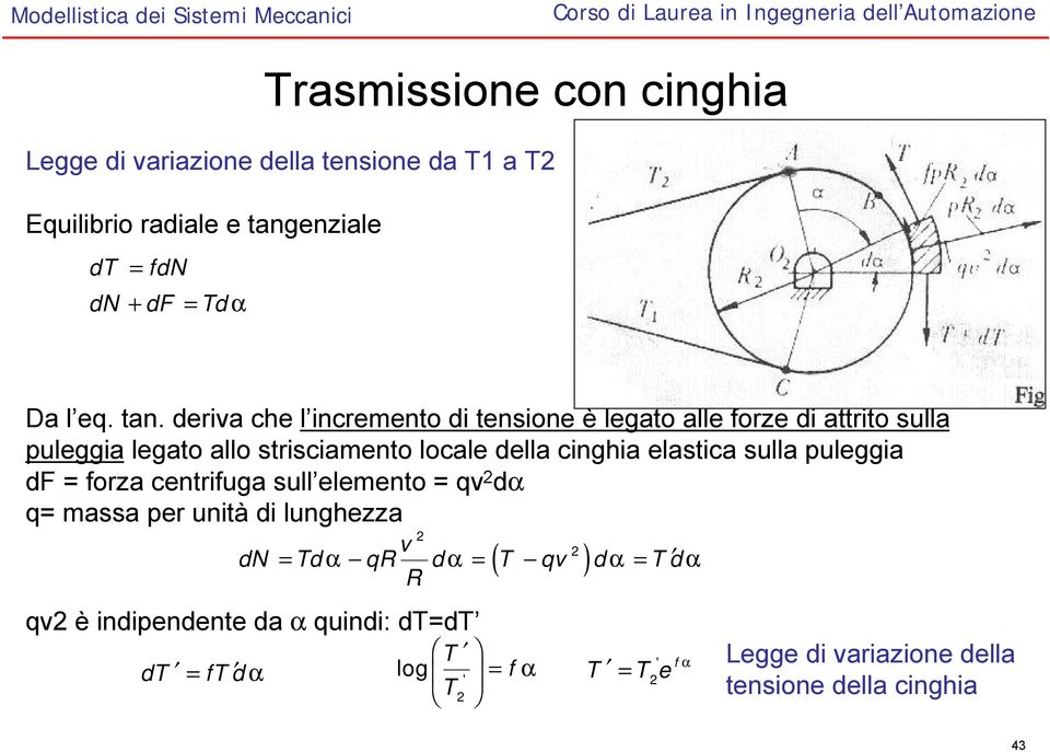 della cighia elastica sulla puleggia df forza cetrifuga sull elemeto qv dα q massa per uità di lughezza v dn dα qr