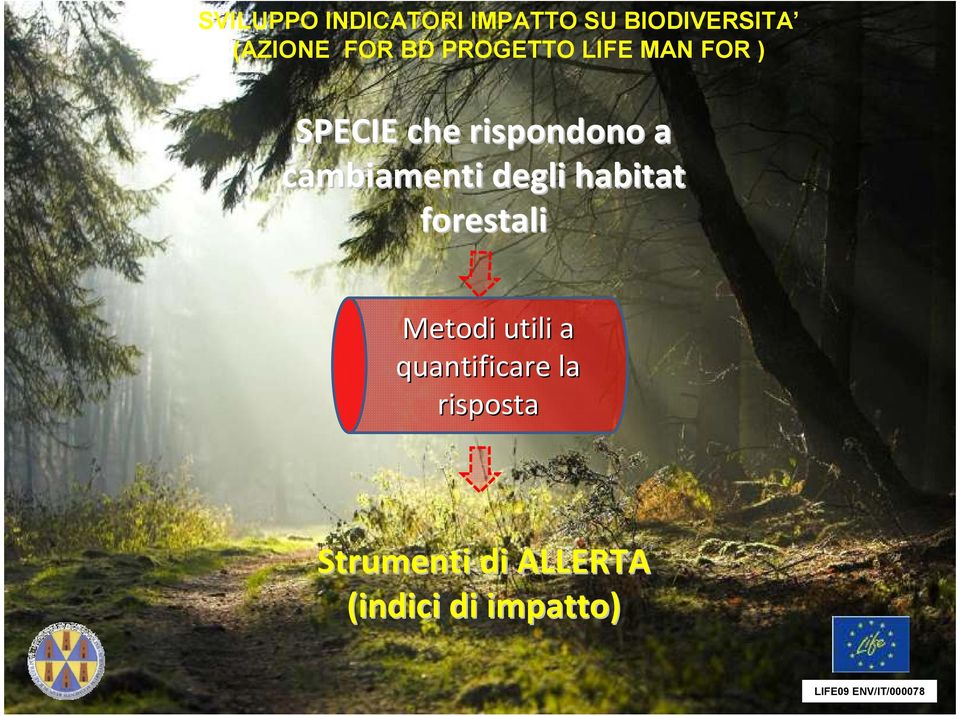 cambiamenti degli habitat forestali Metodi utili a