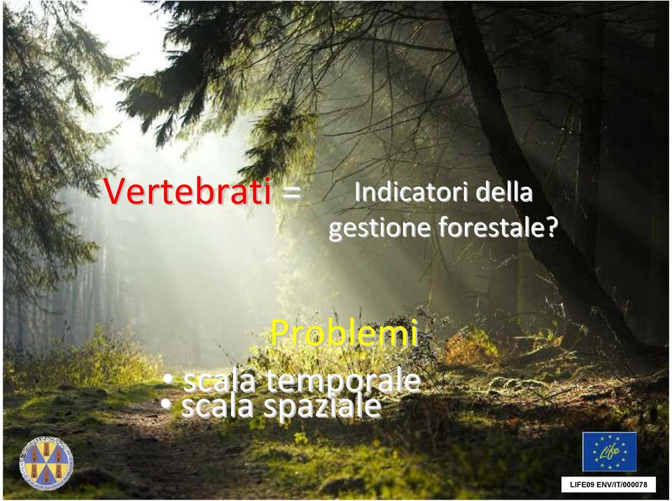 gestione forestale?