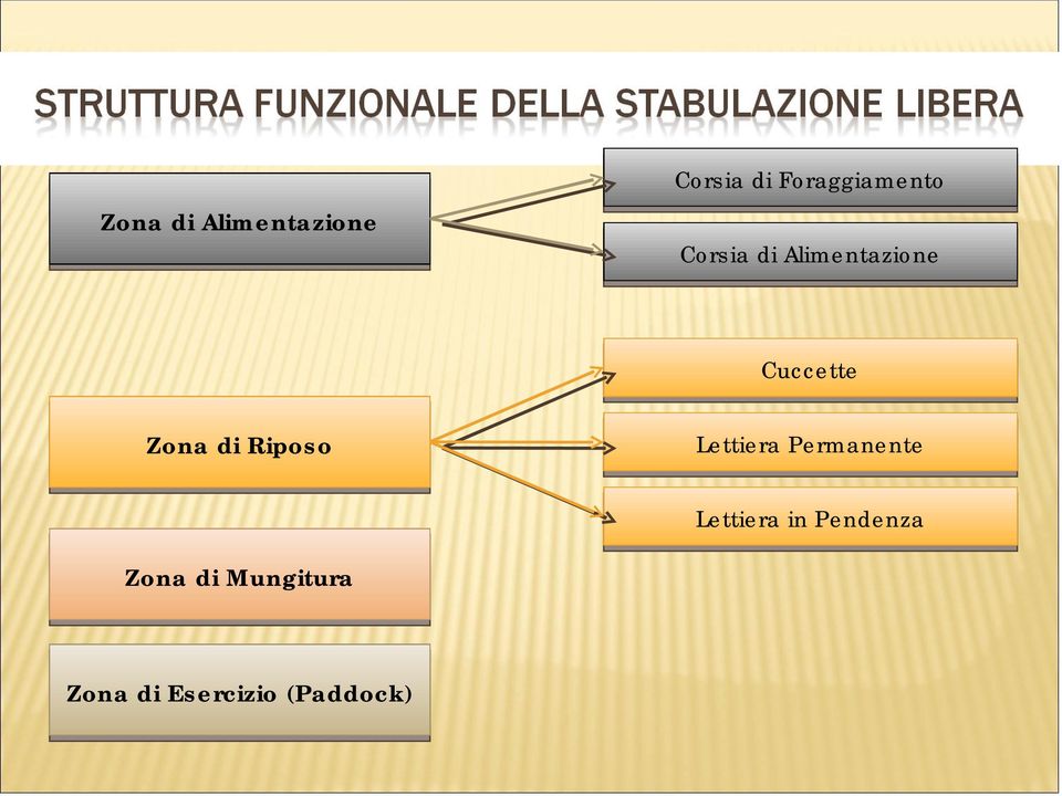 Cuccette Zona di Riposo Lettiera Permanente