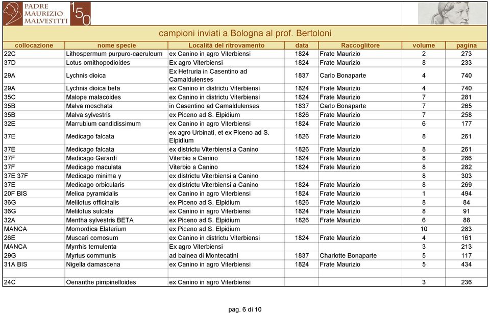 1824 Frate Maurizio 7 281 35B Malva moschata in Casentino ad Camaldulenses 1837 Carlo Bonaparte 7 265 35B Malva sylvestris ex Piceno ad S.