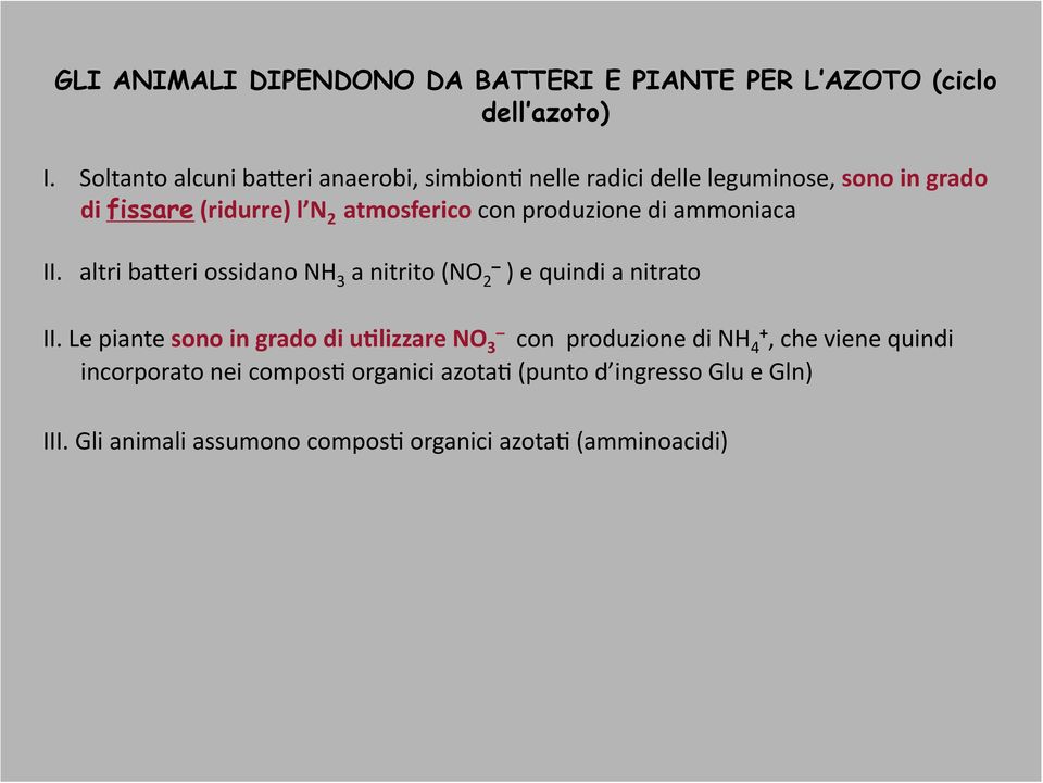 produzione di ammoniaca II. altri baderi ossidano NH 3 a nitrito (NO 2 ) e quindi a nitrato II.