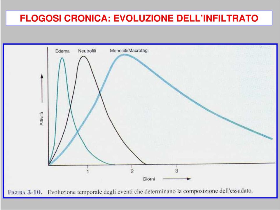 EVOLUZIONE