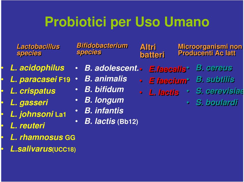 adolescent. B. animalis B. bifidum B. longum B. infantis B.