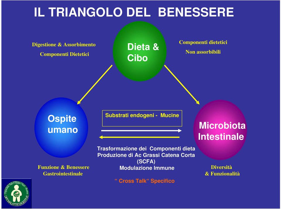 Substrati endogeni - Mucine Trasformazione dei Componenti dieta Produzione di Ac Grassi