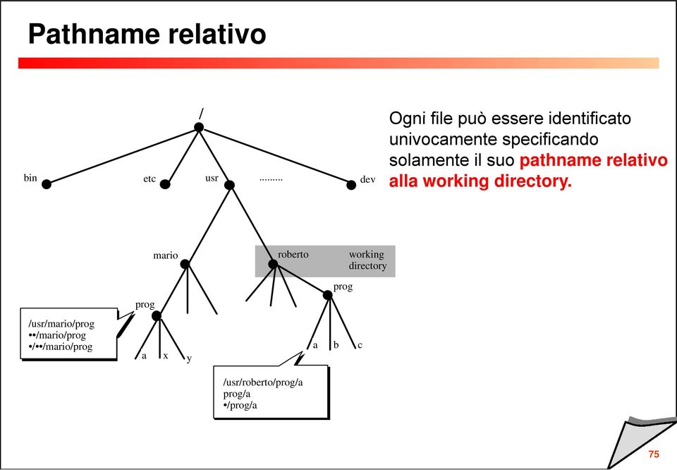 relativo mario roberto working directory /usr/mario/prog