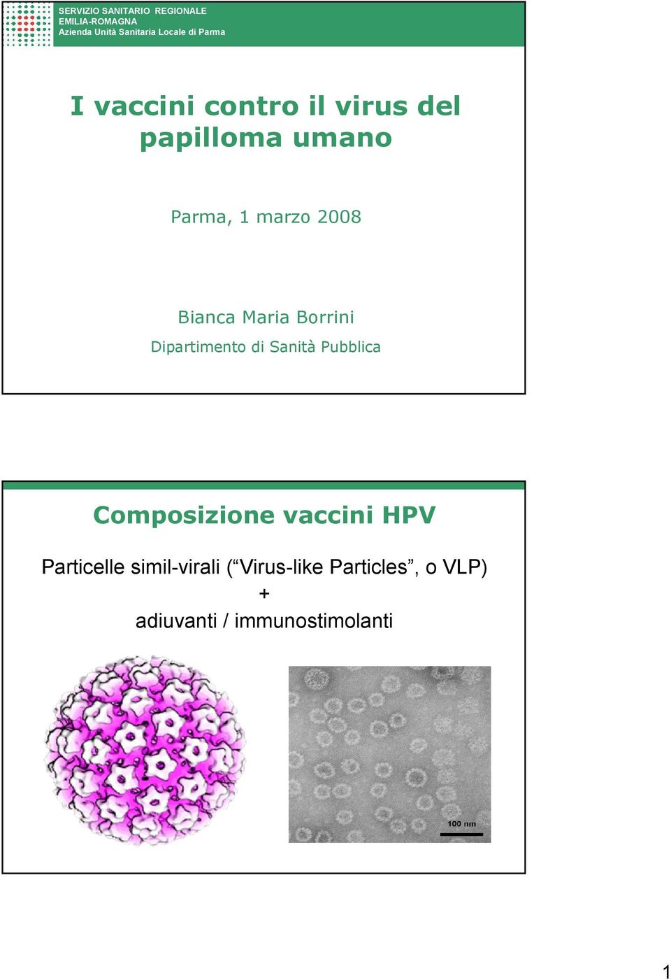 Maria Borrini Dipartimento di Sanità Pubblica Composizione vaccini HPV