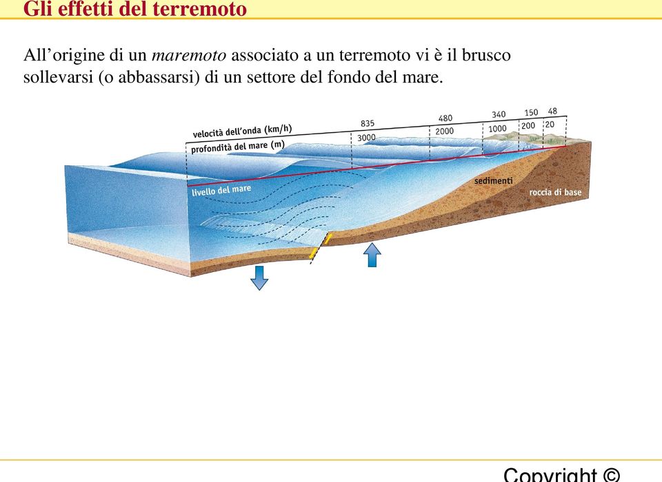 terremoto vi è il brusco sollevarsi