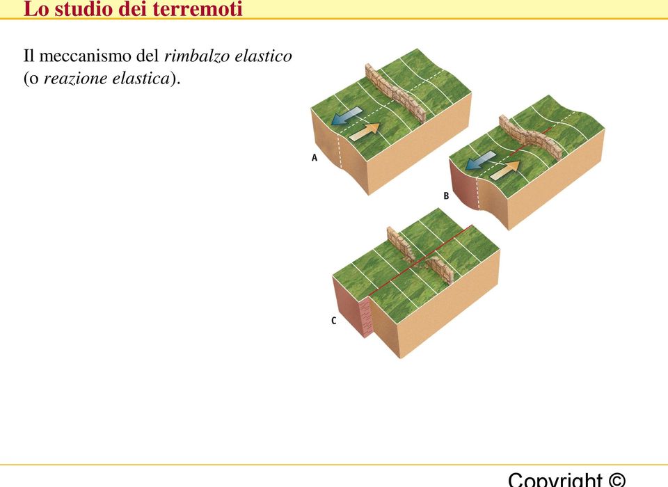 meccanismo del