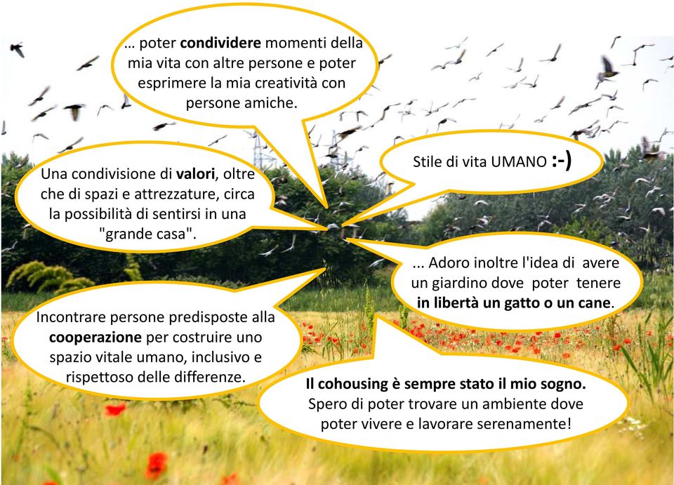 Incontrare persone predisposte alla cooperazioneper costruire uno spazio vitale umano, inclusivo e rispettoso delle differenze.