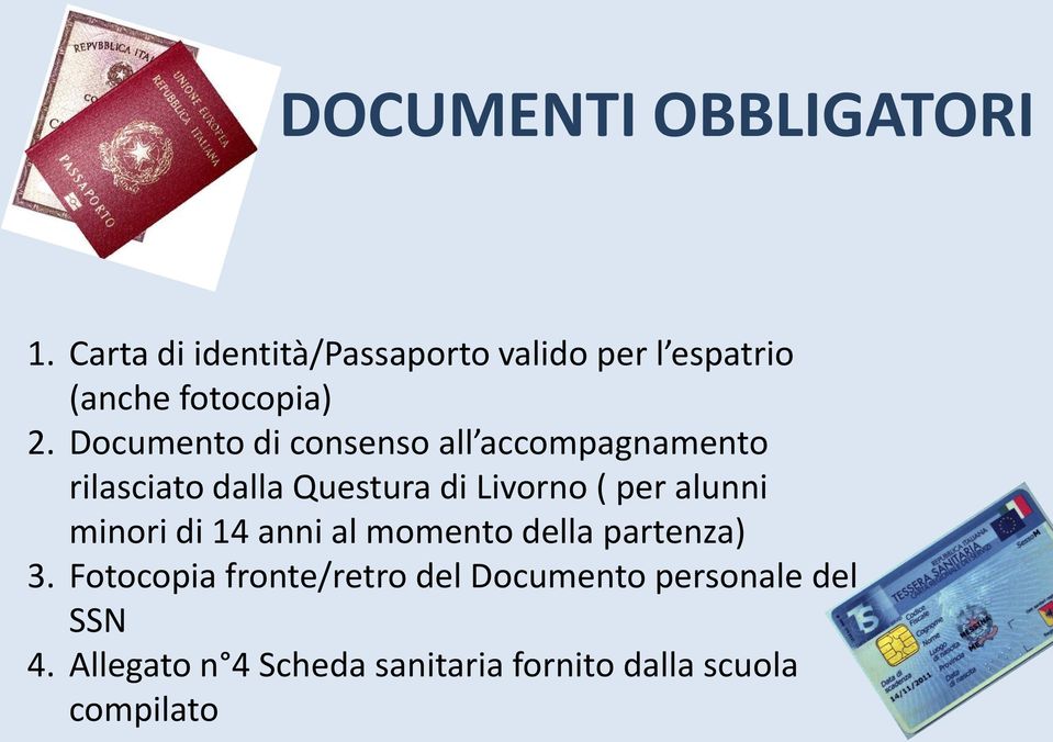Documento di consenso all accompagnamento rilasciato dalla Questura di Livorno ( per