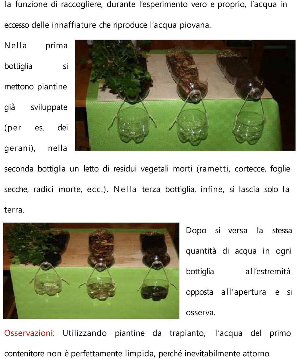 dei gerani), nella seconda bottiglia un letto di residui vegetali morti (rametti, cortecce, foglie secche, radici morte, ecc.). Nella terza bottiglia, infine, si lascia solo la terra.