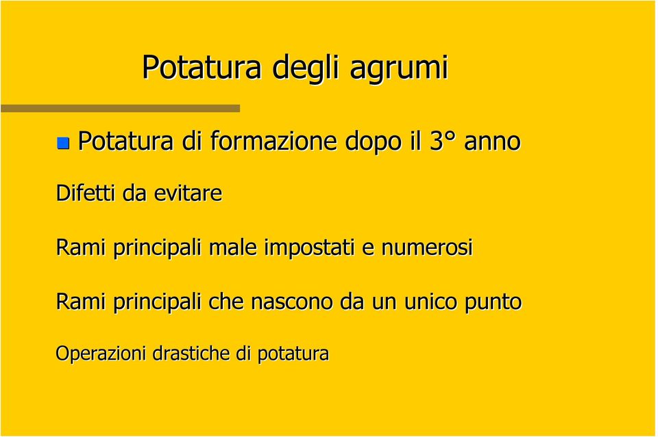 impostati e numerosi Rami principali che