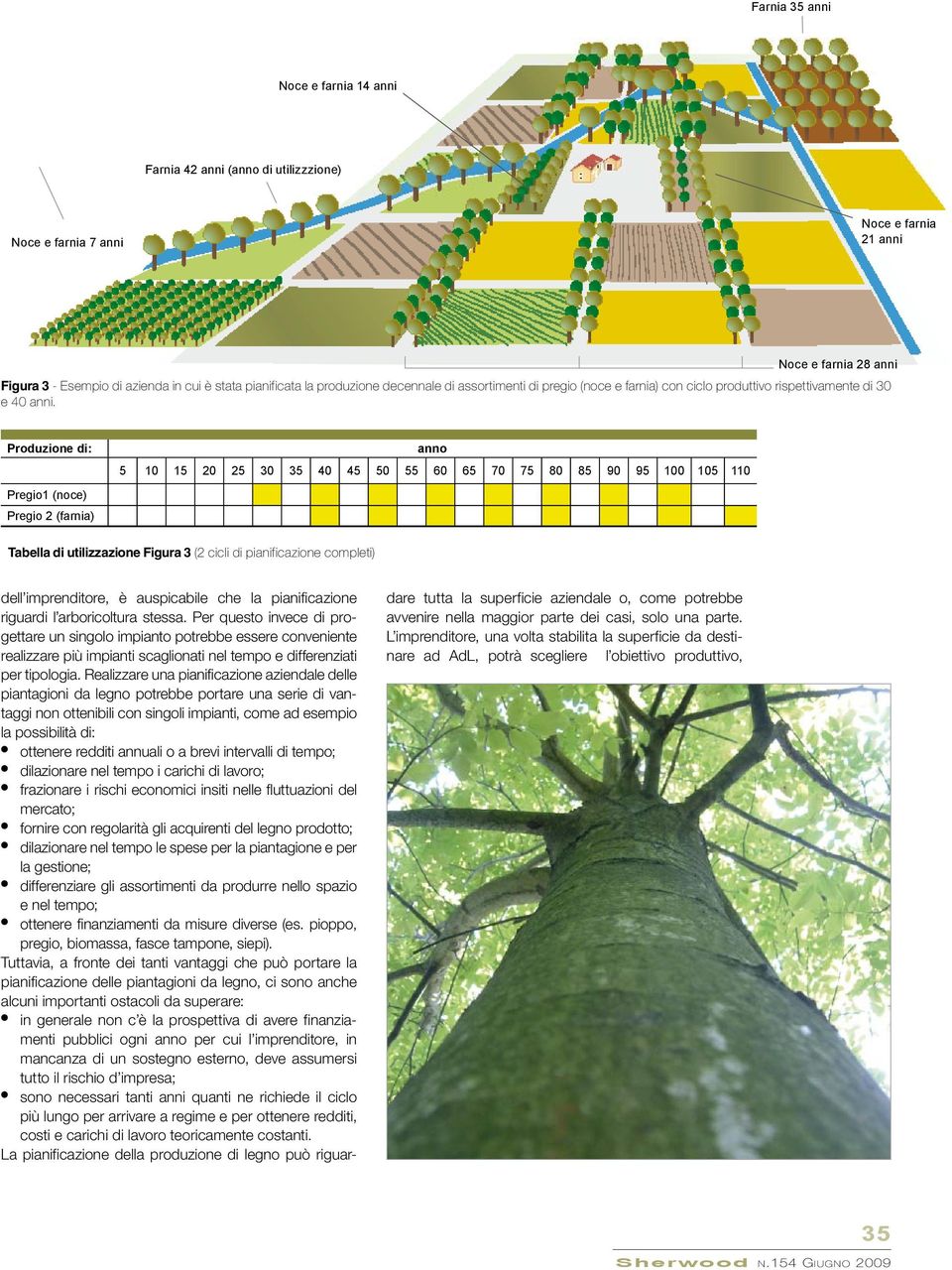 Pregio1 (noce) Pregio 2 (farnia) 5 10 15 20 25 30 35 40 45 50 55 60 65 70 75 80 85 90 95 100 105 110 Tabella di utilizzazione Figura 3 (2 cicli di pianificazione completi) dell imprenditore, è