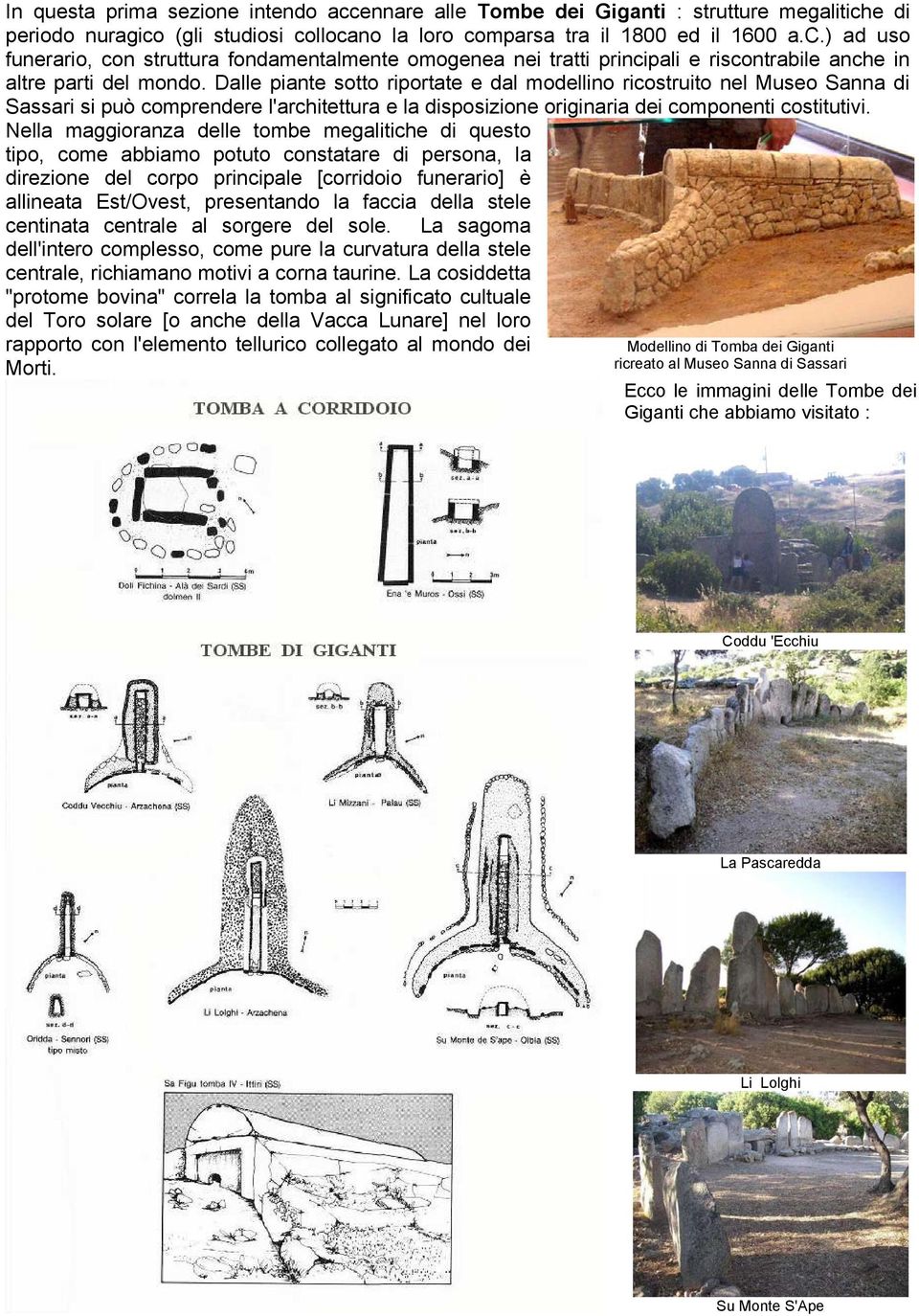 Nella maggioranza delle tombe megalitiche di questo tipo, come abbiamo potuto constatare di persona, la direzione del corpo principale [corridoio funerario] è allineata Est/Ovest, presentando la