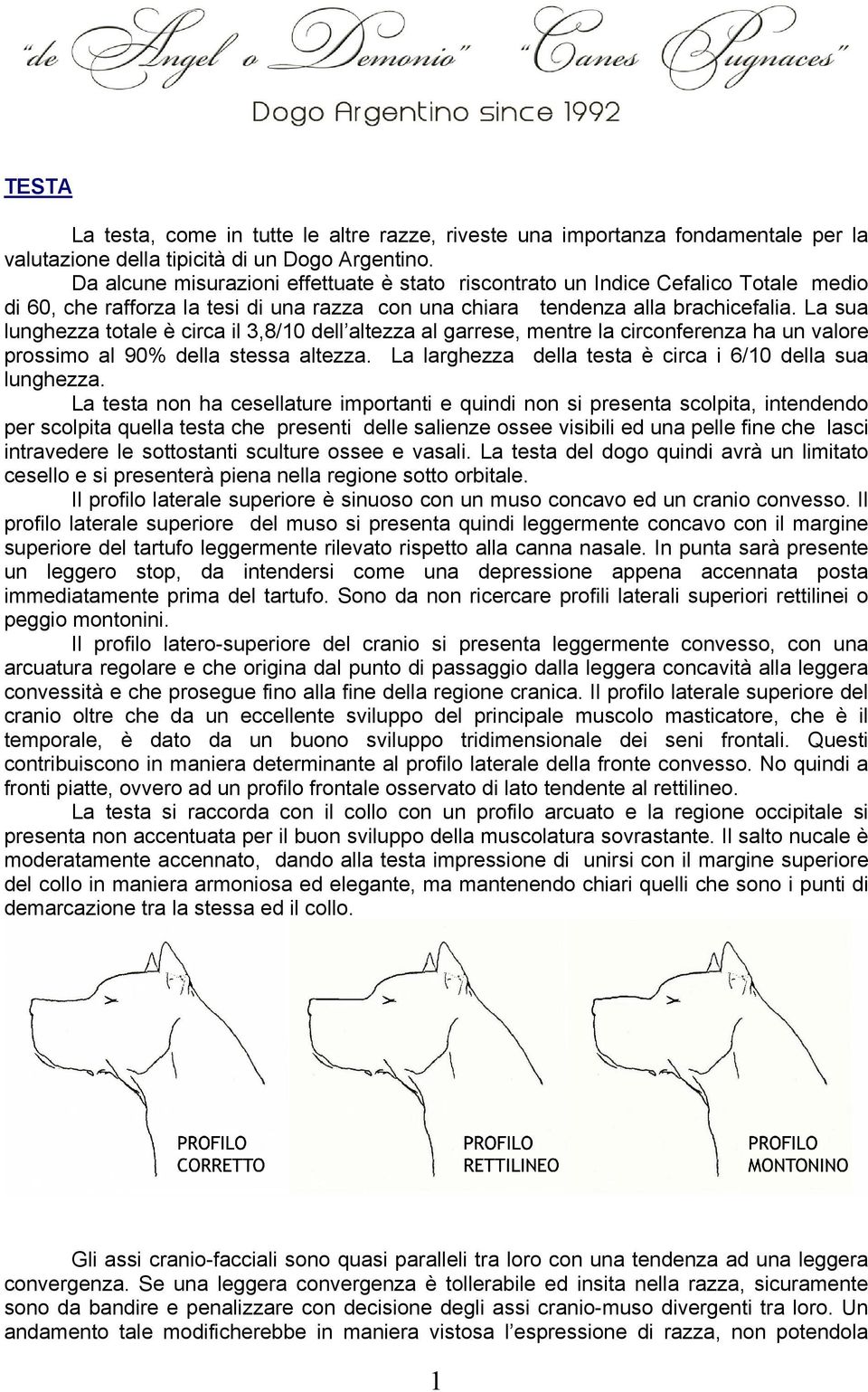 La sua lunghezza totale è circa il 3,8/10 dell altezza al garrese, mentre la circonferenza ha un valore prossimo al 90% della stessa altezza.