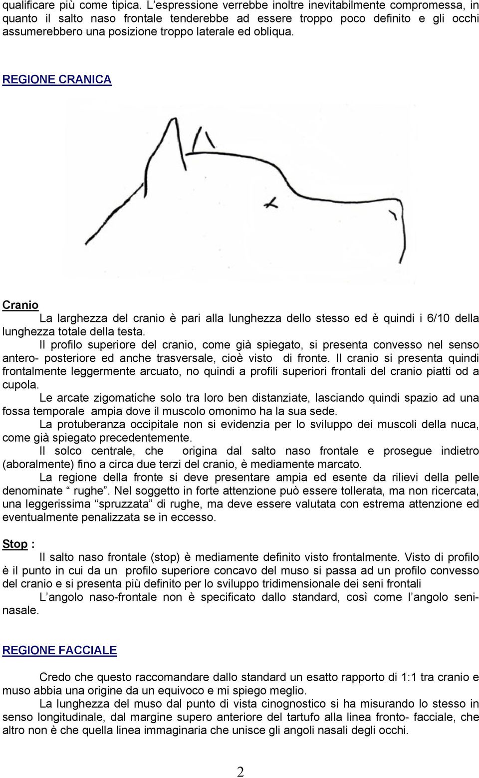 obliqua. REGIONE CRANICA Cranio La larghezza del cranio è pari alla lunghezza dello stesso ed è quindi i 6/10 della lunghezza totale della testa.