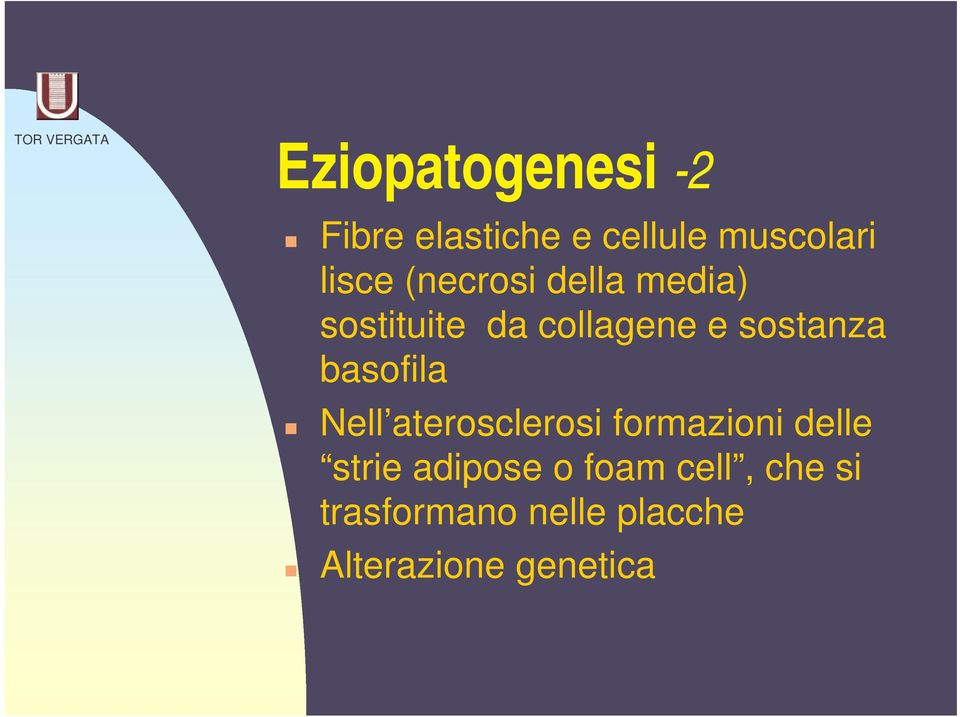 basofila Nell aterosclerosi formazioni delle strie adipose o