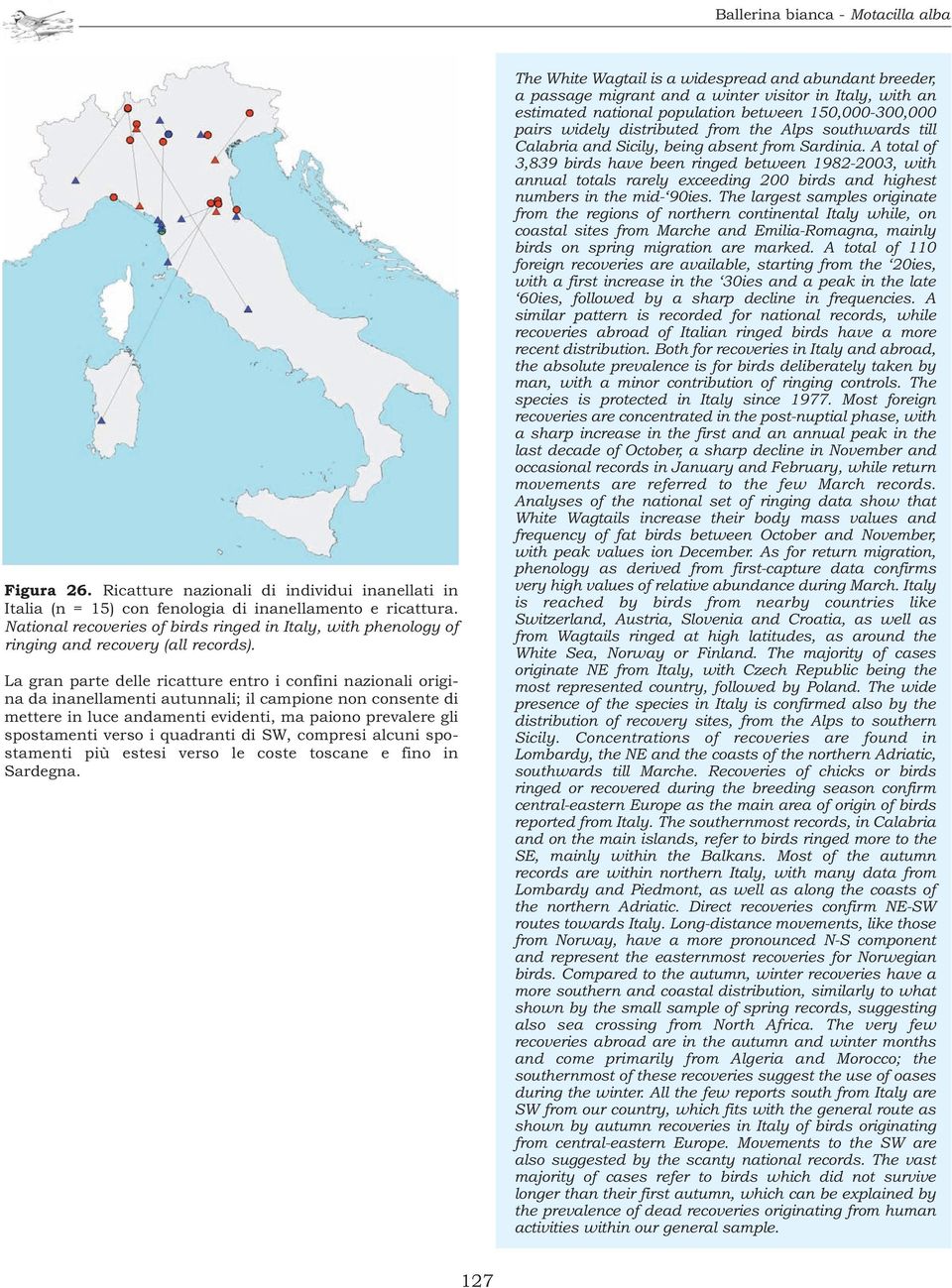 La gran parte delle ricatture entro i confini nazionali origina da inanellamenti autunnali; il campione non consente di mettere in luce andamenti evidenti, ma paiono prevalere gli spostamenti verso i