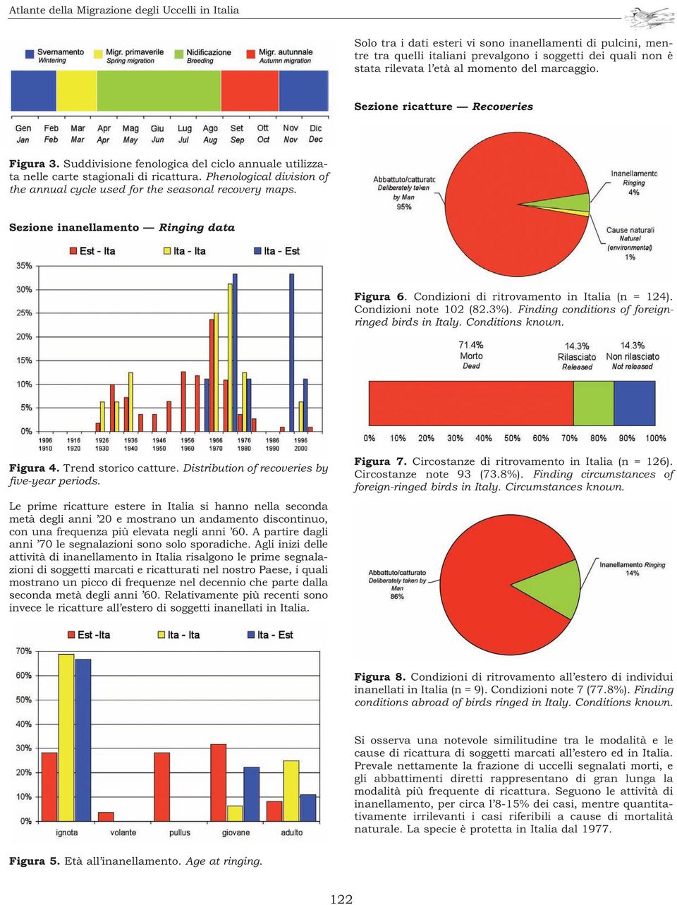 Phenological division of the annual cycle used for the seasonal recovery maps. Sezione inanellamento Ringing data Figura 6. Condizioni di ritrovamento in Italia (n = 124). Condizioni note 102 (82.3%).