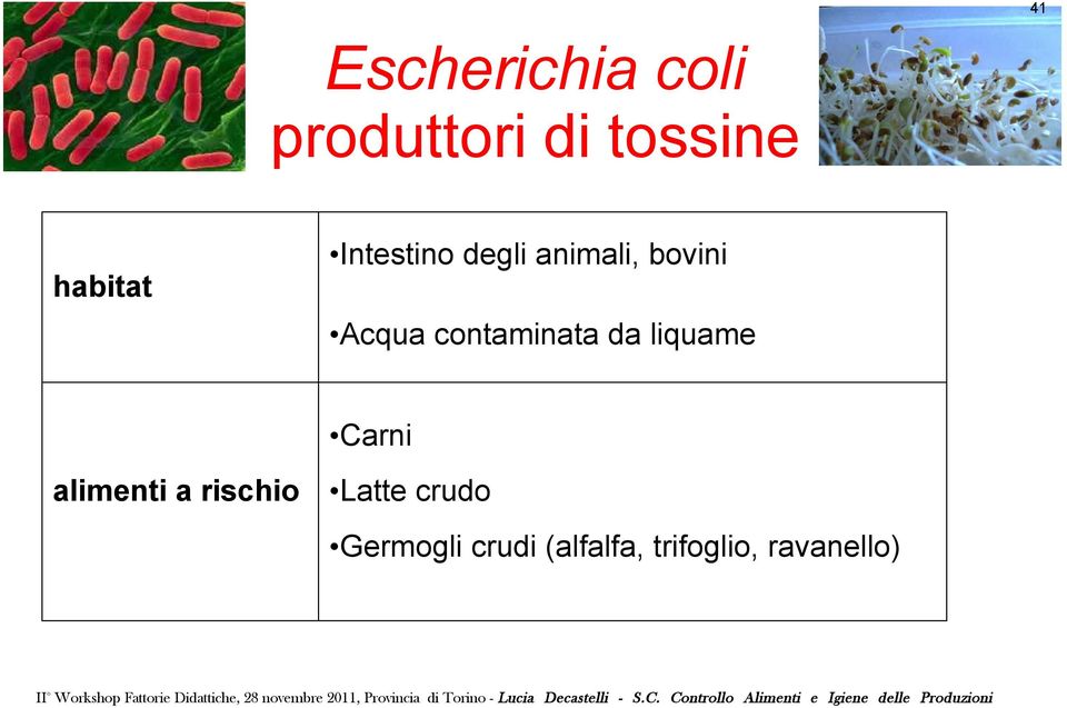 contaminata da liquame Carni alimenti a rischio