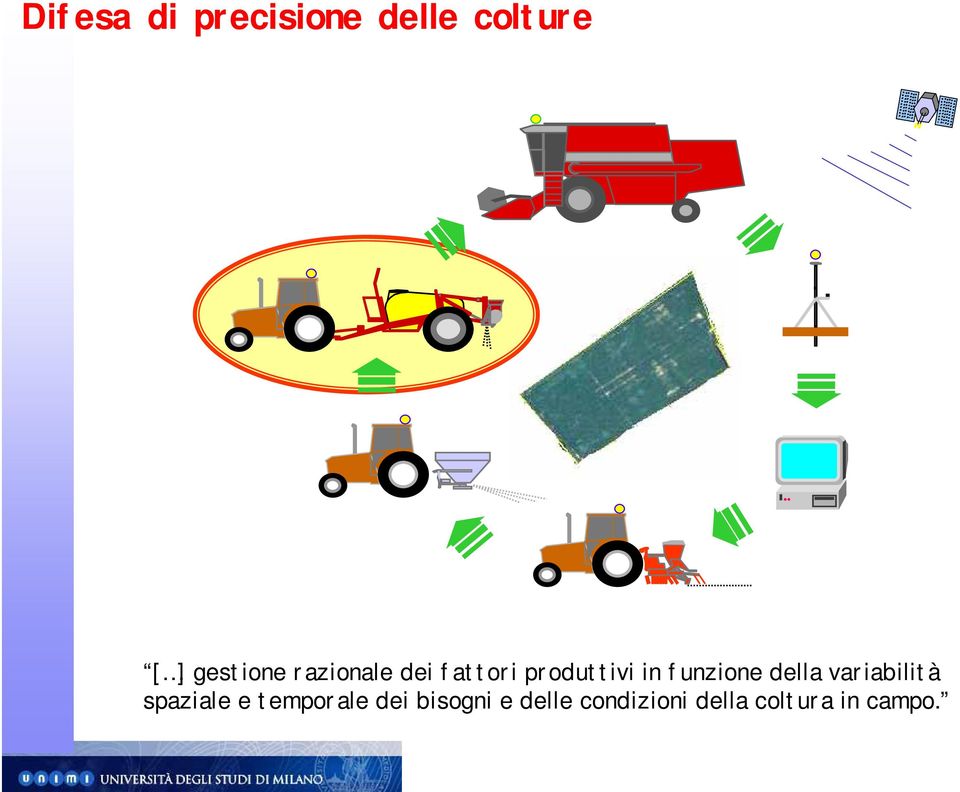 funzione della variabilità spaziale e